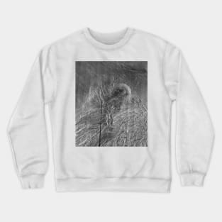 NASA Venus: Lakshmi Planum Crewneck Sweatshirt